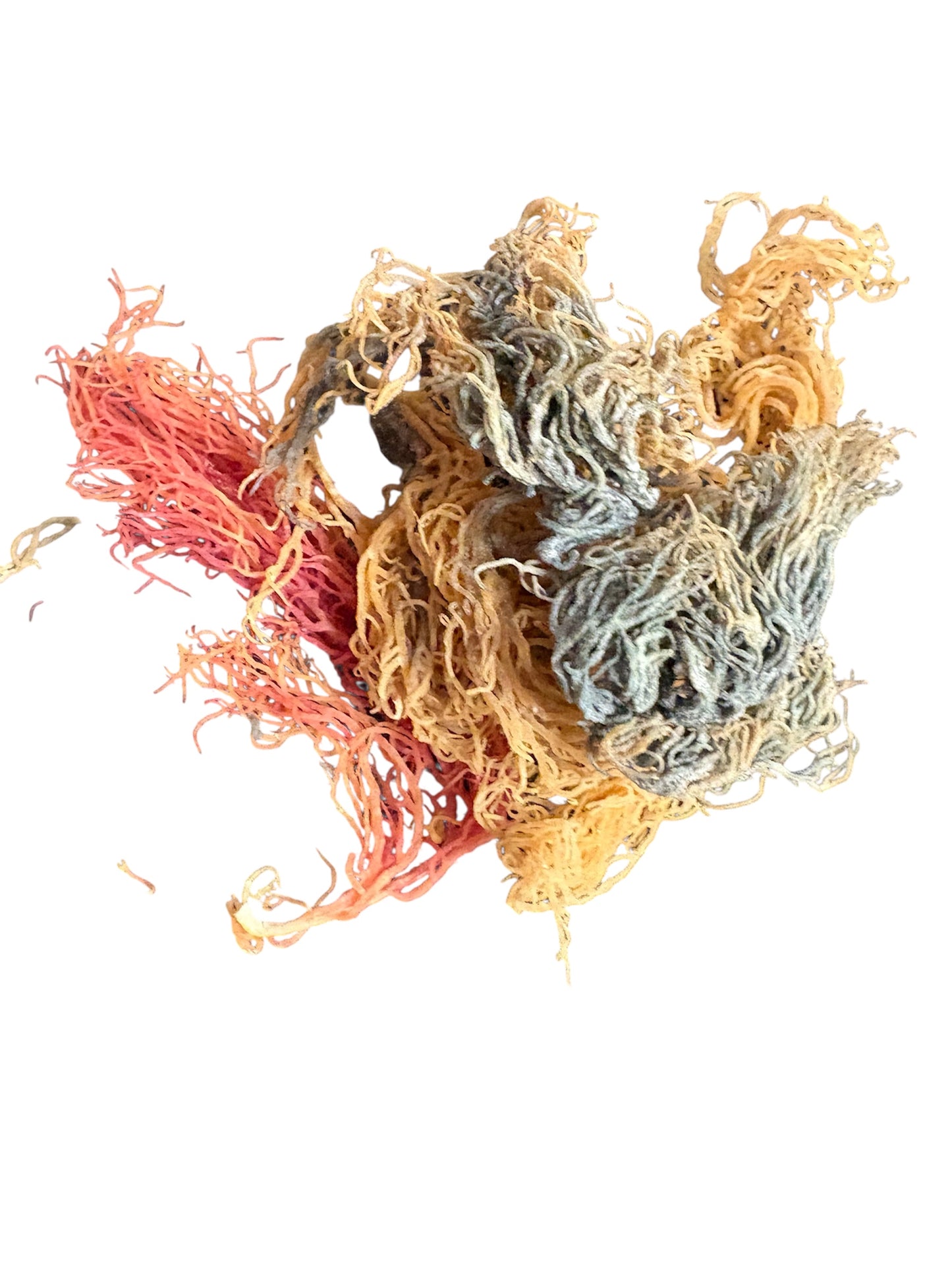 FULL SPECTRUM SEAMOSS 4oz