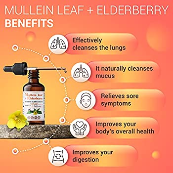Mullein Leaf & Elderberry