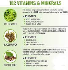 Sea Moss, Burdock, and Bladderwrack Capsules 60 Capsules