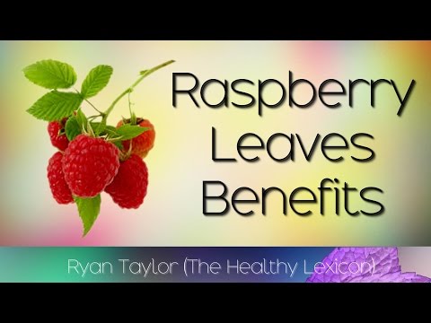Organic Raspberry Leaf 20 Bags