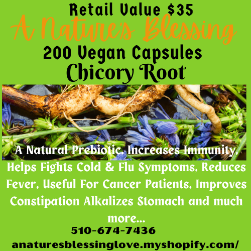 Chicory Root Vegan Capsules 200