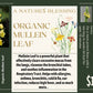 Mullein Leaf Tea 12 Tea Bags