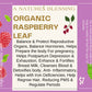 Organic  Raspberry Leaf  20 Bags