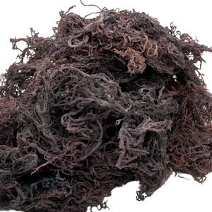 Premium St. Lucian  Purple Seamoss 2oz
